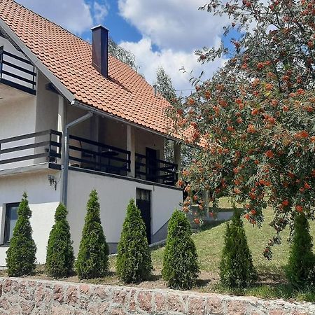 Kuca Sa Pogledom Na Tornik Villa Zlatibor Luaran gambar